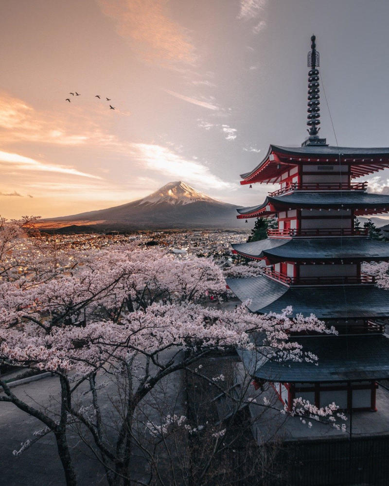 富士山·夜·樱花系壁纸:世间若无樱花艳,春心何处得长闲?