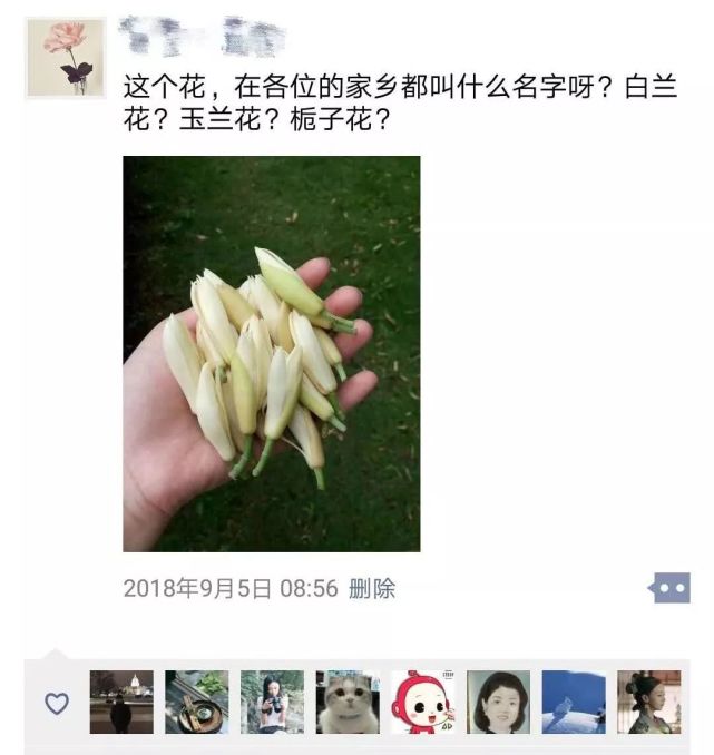 有事可以询问万能的朋友圈