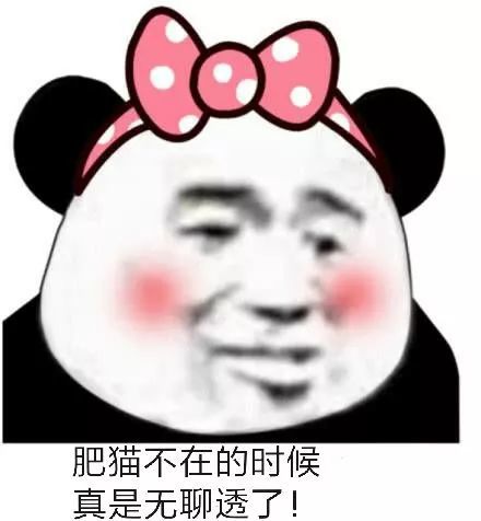 是可爱表情包哦
