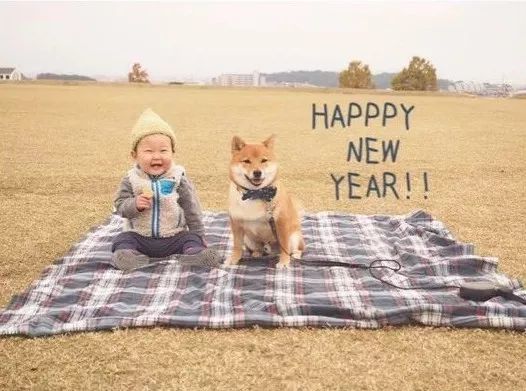 4岁日本小正太靠一起长大的柴犬 哥哥 红遍日本 搞笑日常引无数网友围观 看点快报