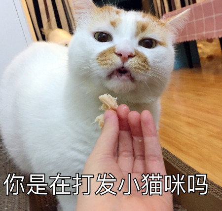 很皮很可爱的表情:你这话什么意思?我不喜欢撤回去