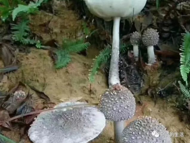 640