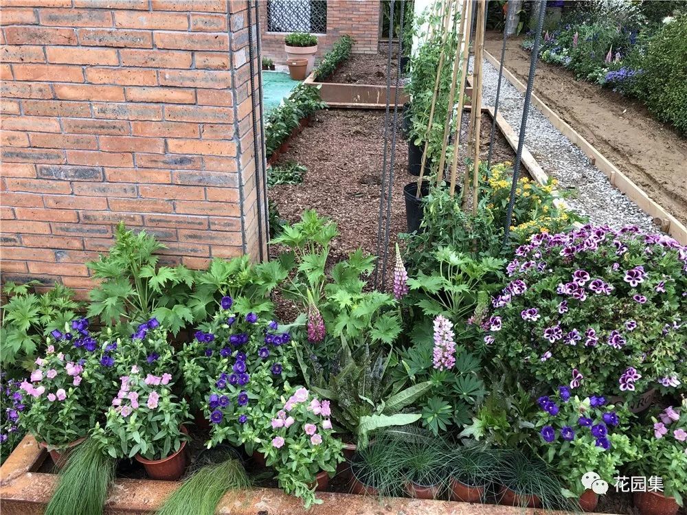 200平米花园实景,200平米私家花园实景图 这座200平的现代英式厨房花园,在这场国际花展中,备受