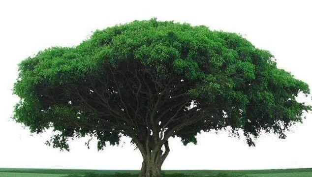 640