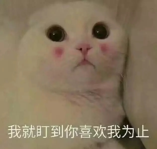 能暗示喜欢的表情包:我不在线时,你要好好保护自己