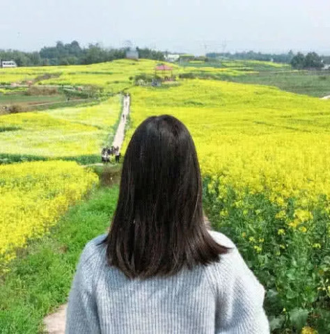 最适合"异地恋"的情侣头像:手机天气预报里,添加了两个城市