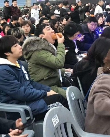 王思聪最新表情包 不是肯面包 而是啃玉米了 又要火