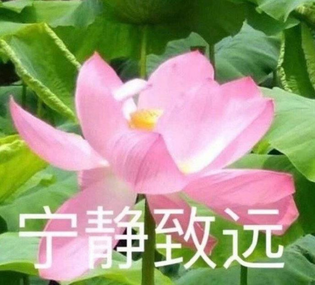 似水流年