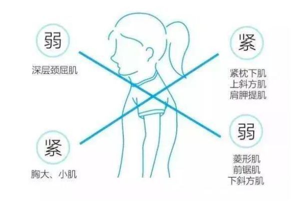 上面两个肩下面两个足是什么成语_上面是床下面是衣帽间(3)