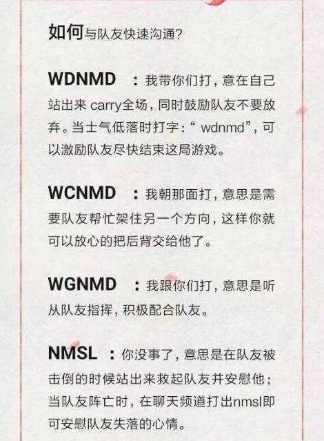 "nmsl"和"wcnmd"的区别,其实你们一直都理解错了!