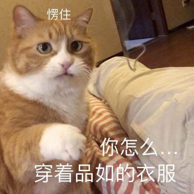 一些奇奇怪怪的表情包