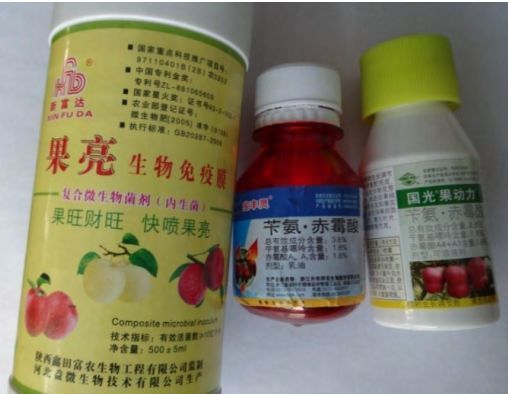 建议果农在苹果花后幼果期喷洒果亮生物免疫膜300倍液,3.