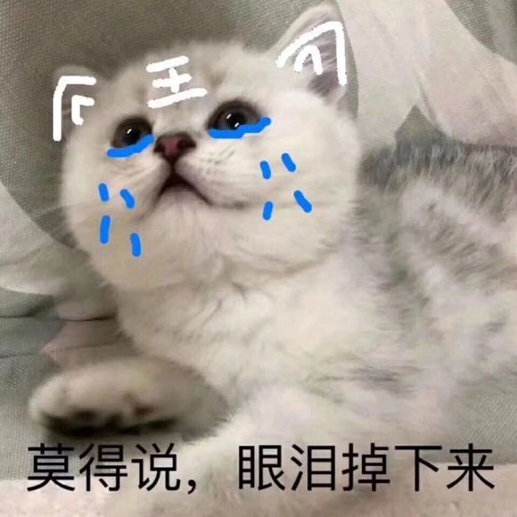 超搞笑超逗表情包,莫的说眼泪掉下来