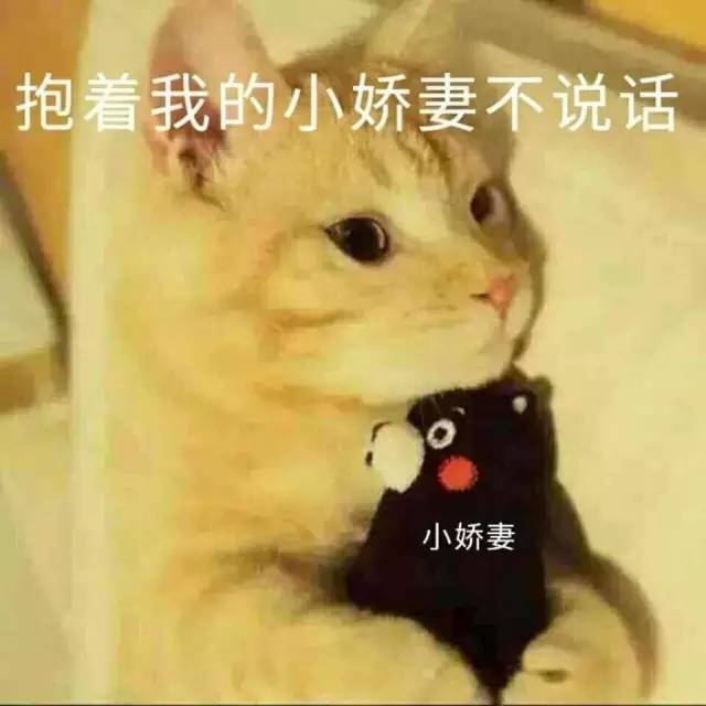 小奶猫闯祸了?表情包又卖萌:不应当,因为我只是一只小