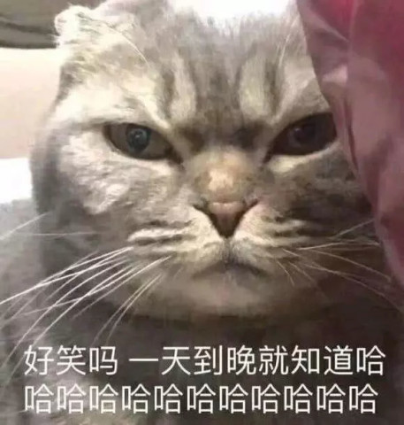 qq最流行一种"无奈"表情包:我上辈子造了什么孽呀!