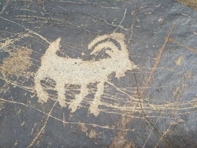 狩猎图岩画