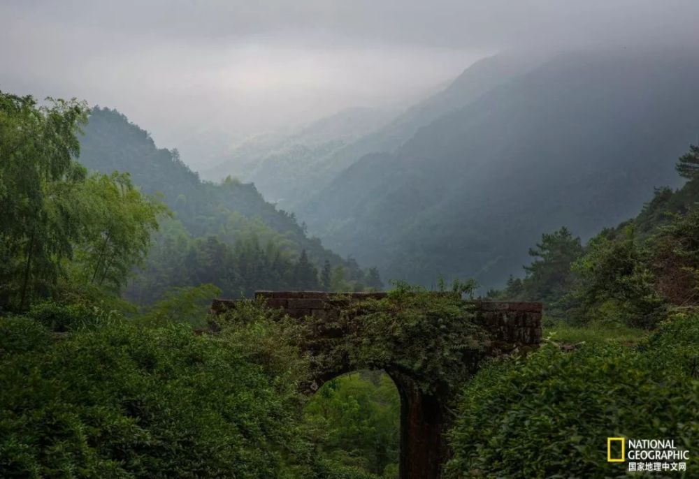 仙霞古道,一生必去