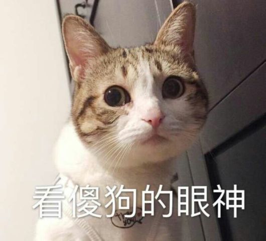 最近火了"表情包"情头,娘子啊哈,佟湘玉白展堂硬核