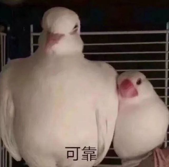 表情包——主动罚站