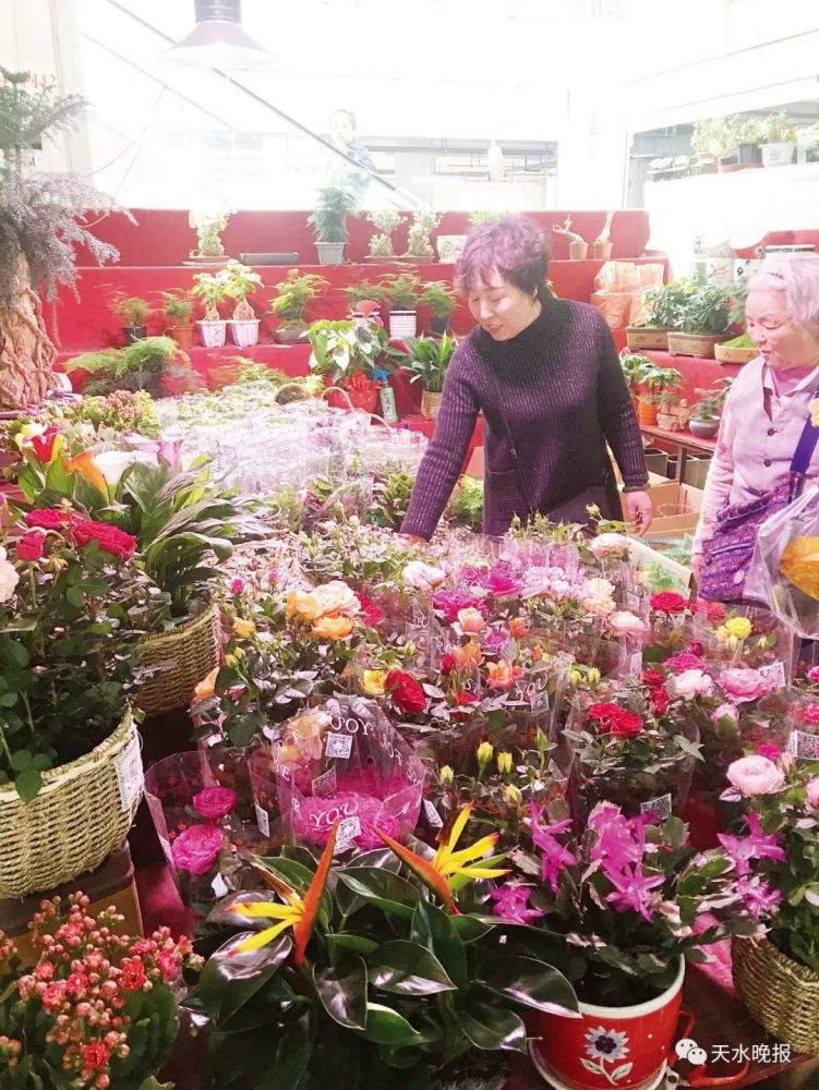 四月春盛 我市花木市场啥行情 看点快报