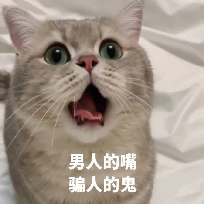 可爱·猫咪·表情包:我该不会是遇到渣男了吧