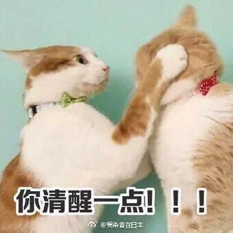 你清醒一点