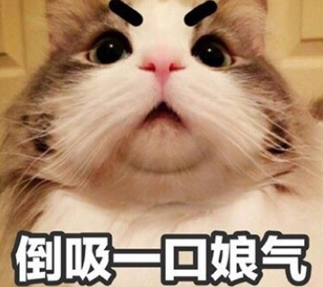 精选斗图·表情包:倒吸一口娘气