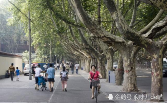 河南经济总量位居中西部第几_河南牧业经济学院宿舍