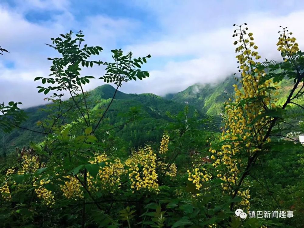 镇巴县有多少人口_厉害了大陕西 2城27县镇将被 国家点名 看看有你家乡没