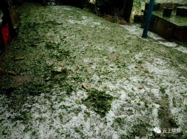 突遭暴雨冰雹袭击,贵州多地被砸惨了!可怕的是接