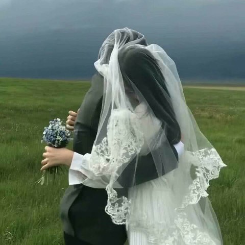 情头婚纱_情头婚纱头像(2)