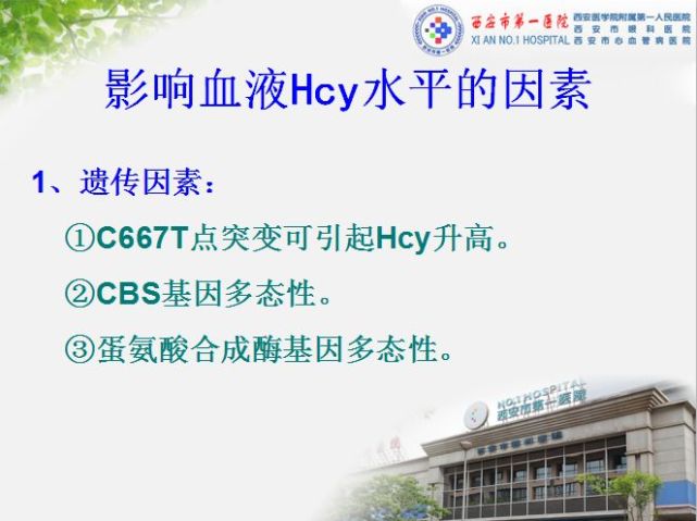 发现同型半胱氨酸(hcy)高怎么办?