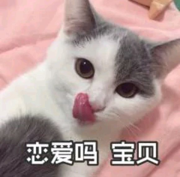 可爱猫咪表情包:我超甜的!