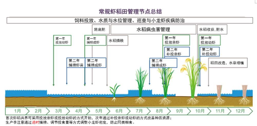 稻虾共生条件下,如何做好稻田病虫害管理(图片引自adama global)鉴于