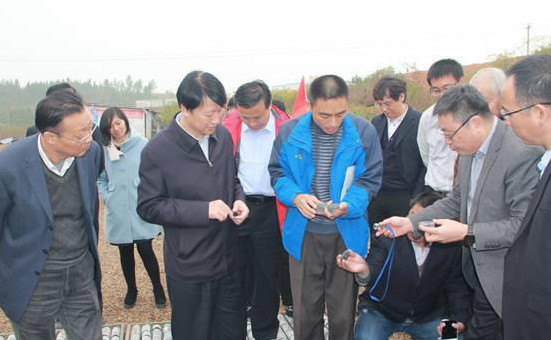 安徽宁国发觉5亿吨页岩油储量 代价约1575亿