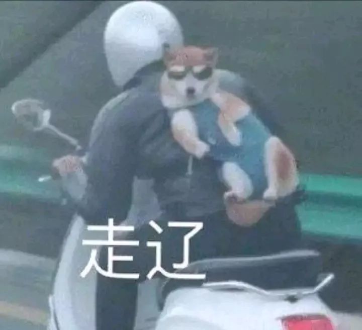 表情包 忠于人品