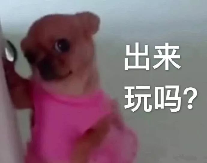 表情包 忠于人品