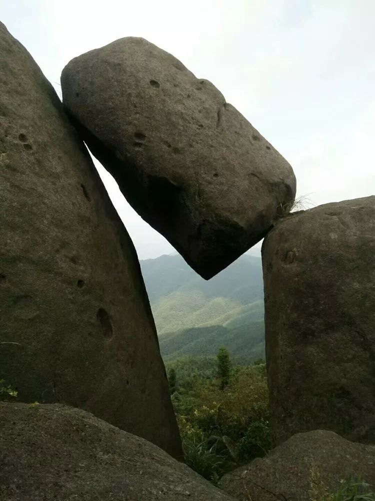 丨美爆了!万载仙姑岽漫山遍野的杜鹃花即将盛开!约吗?