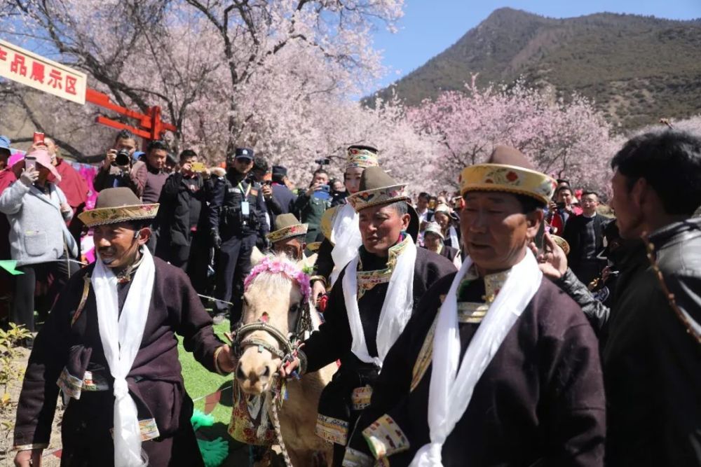 大峡谷分会场开幕式 ▲ 2019年第十七届林芝桃花旅游文化节 鲁朗分