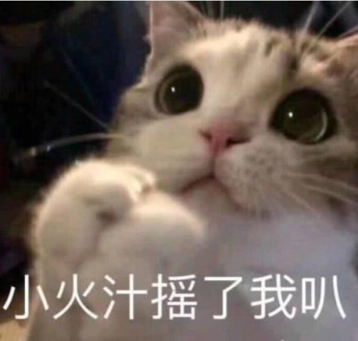 软妹"撩汉"表情包,萌哭各路神仙大咖,网友:图已抱走