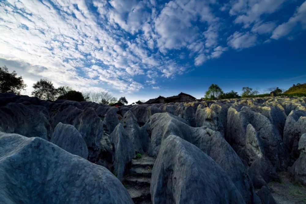 约!约!约 宜宾兴文石海,僰王山等4个景区门票全免,不限量