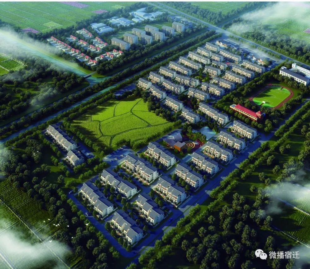 宿迁市洋河镇乡镇GDP_生态经济示范镇系列之洋河镇(3)