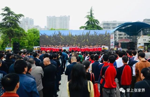 张家界5家城市书房开放 具体位置看这里