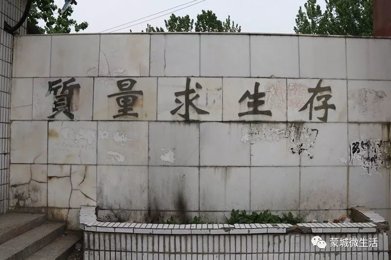 蒙城县多少人口_蒙城县地图
