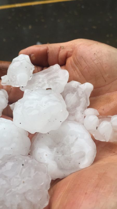 跟小笼包一样大!温州多地突下冰雹