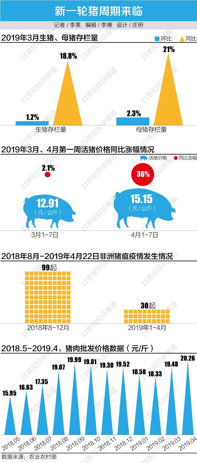 新一轮猪周期临近 活猪价或超20元\/公斤历史高