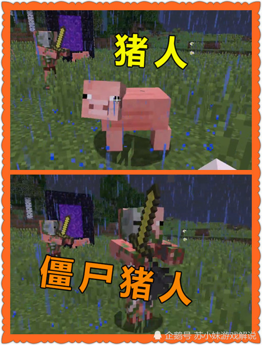 我的世界,僵尸猪人,乌龟,变异