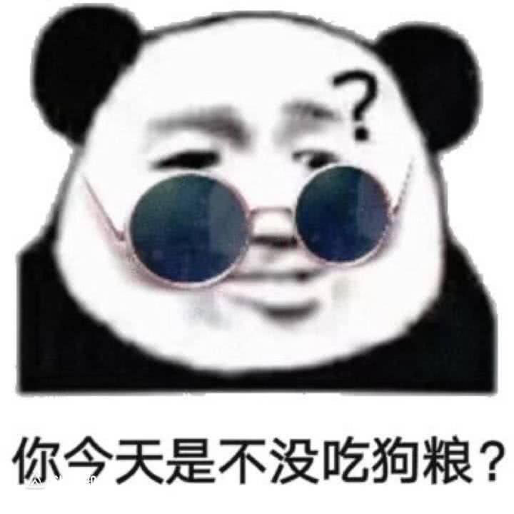 网络用语表情包,狗粮吃的五饱六饱