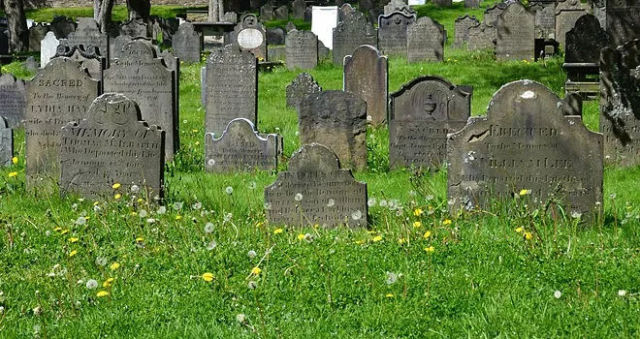 梦回家院，坟树之谜，探索梦境中的深层寓意