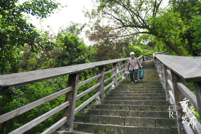 和我到山城步道里走一走,呜哦 呜哦|重庆|公园|虎头岩